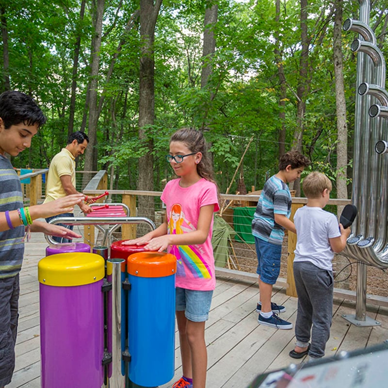Treetops Museum preview 3